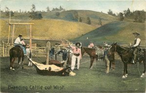 Postcard Branding cattle out west Selige Agriculture Farm scene  23-1120