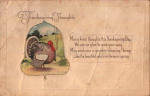 fat turkey postcard: Thanksgiving Thoughts
