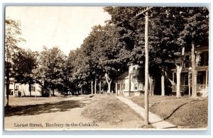 c1907 Locust Street View Phelps Roxbury In The Catskills NY RPPC Photo Postcard