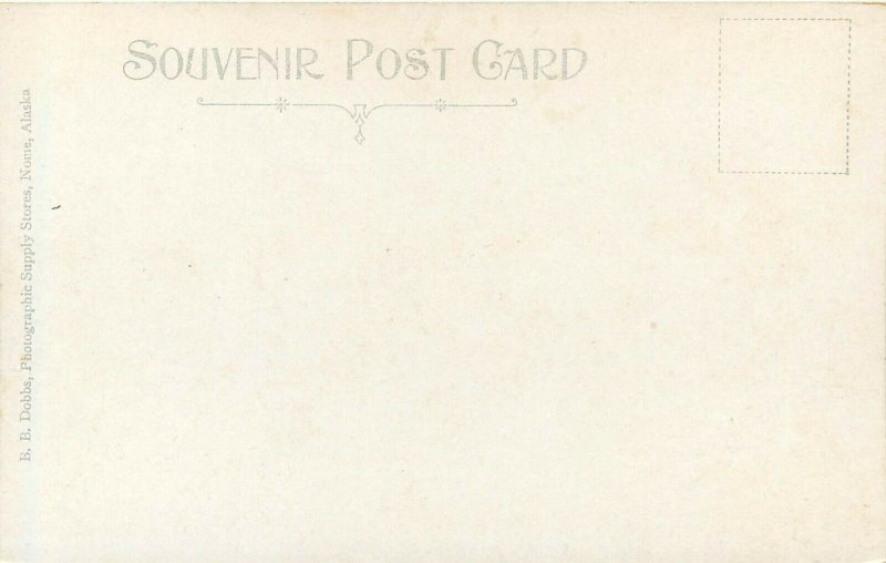 c1907 Postcard; Caribou Reindeer Herd, Nome Alaska AK unposted
