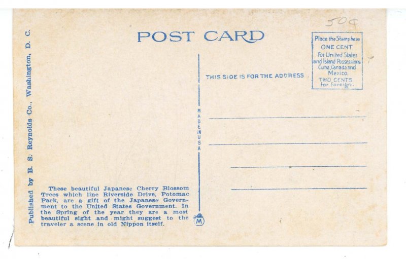 DC - Washington. Potomac Park at Cherry Blossom Time