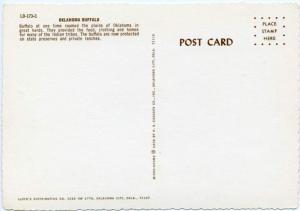 (3 cards) Greetings from Oklahoma