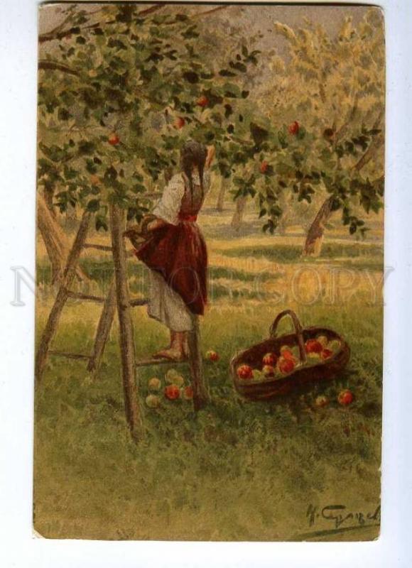 189061 RUSSIA SERGEEV garden Vintage St.Eugenie #231 postcard