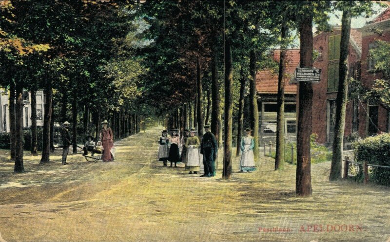 Netherlands Paslaan Apeldoorn Vintage Postcard 07.64