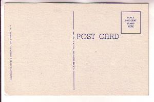 A Southern California Garden,