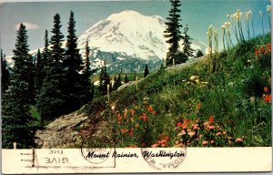 Postcard WA Mt. Rainier from Dewey Lake Trail