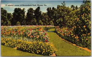 Macon Georgia GA, Colorful Corner of Baconsfield Park, Flowers, Vintage Postcard