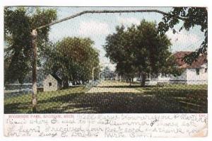 Riverside Park Saginaw Michigan 1909 postcard