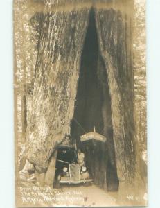 Pre-1942 rppc NICE VIEW Myers Flat - Near Garberville California CA i5963