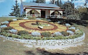 GUELPH, Ontario Canada    FLORAL CLOCK at RIVERSIDE PARK    Chrome Postcard