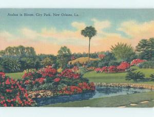 Unused Linen PARK SCENE New Orleans Louisiana LA hk6548