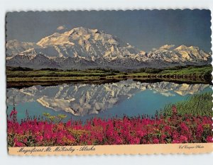 Postcard Magnificent Mt. McKinley, Alaska