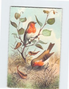 Postcard Two Birds with Leaves Painting/Art Print