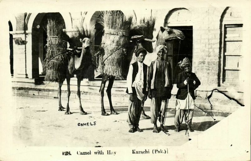 pakistan, KARACHI, Camel with Hay (1957) RPPC Postcard