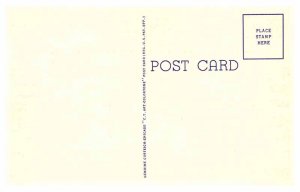 Postcard SCHOOL SCENE Sausage Tree Hawaii HI AP3979