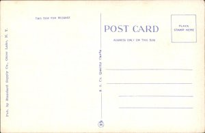 Blue Mountain New York NY Fire Tower Adirondacks 1900s-20s Vintage Postcard