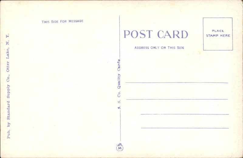 Blue Mountain New York NY Fire Tower Adirondacks 1900s-20s Vintage Postcard