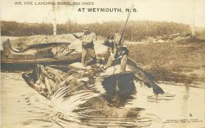 c1930 RPPC Fishing Exaggeration, Landing Big ones at Weymouth NS Canada