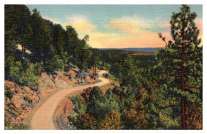 Postcard ROAD SCENE Albuquerque New Mexico NM AR5720