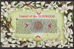 Legend of the Dogwood Postcard BIN