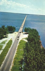 USA Gandy Bridge Tampa Florida Chrome Postcard 04.04