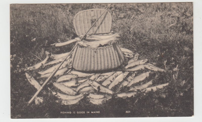 P2412, vintage postcard fishing is good in maine pole creel full & more trout