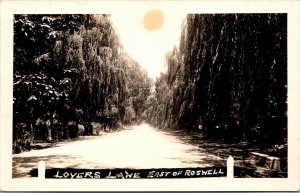 Real Photo Postcard Lovers Lane East of Roswell, New Mexico~2228