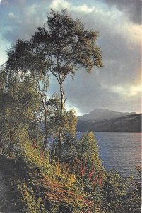 uk47403 loch ness and mealfourvoine inverness shire scotland uk