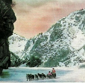 Valdez Alaska AK Keystone Canyon Dog Sled Team Unused UNP Vtg Postcard C17