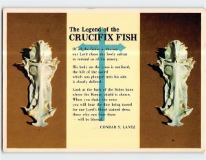 Postcard The Legend of the Crucifix Fish, Florida