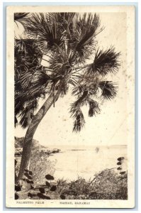 1925 Palmetto Palm Tree River View Nassau Bahamas RPPC Photo Postcard