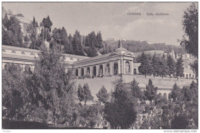 GENOVA, Ligura, Italy, 1900-1910's; Nello Stallieno