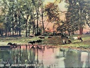 Postcard 1909 View near the Old Paper Mill in Waterloo, IA.   W9