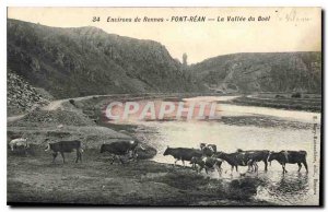 Old Postcard Environs de Rennes Pont Rean La Vallee du Boel Cows