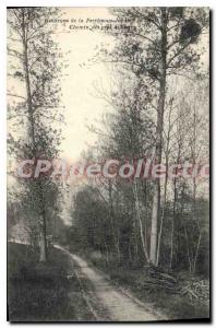 Old Postcard around La Ferte Sous Jouarre Chemin Des prs Biercy