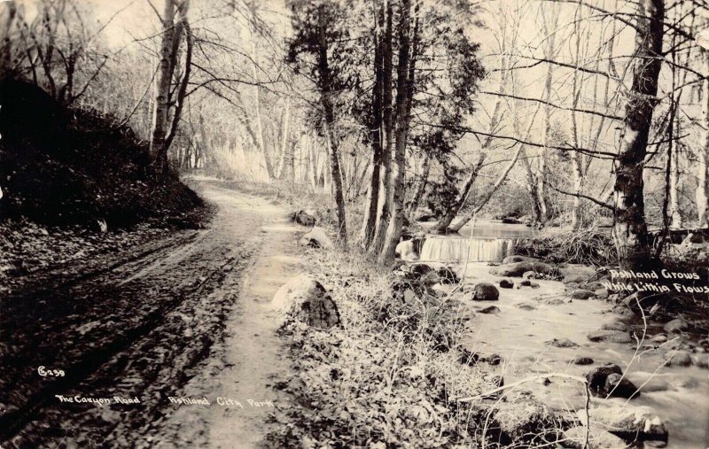 Real Photo Postcard The Canyon Road at Ashland City Park, Tennessee~126816 