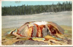 Yellowstone National Park The Sponge Upper Geyser Basin Detroit Publishing