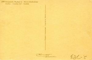 Flowers -   Coventry Bell                            (Thor & Gyger #2706)