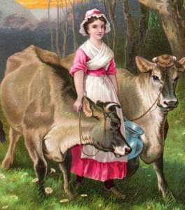 Medicina charlatã Johnston & Crawford da década de 1880 Dr. Jayne's Expectorant P173-