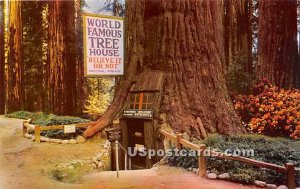 World Famous Tree House - Redwood Highway, CA