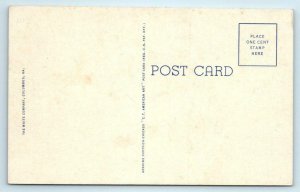 COLUMBUS, Georgia GA ~ WYNNTON SCHOOL Muscogee County c1940s Linen Postcard