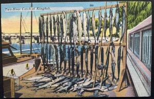 Vintage Postcard 1930-1945 Two-Hour Catch of Kingfish, Waters of Florida (FL)