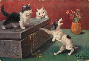 Vintage Sophie Sperlich Postcard 756 Naughty Cats Close Jewelry Box on Dog's Paw