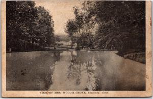 View of Mrs. Wood's Grove, Simsbury CT c1917 Vintage Postcard H14