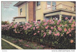 Rose Hedge, Portland, Oregon, 00-10s
