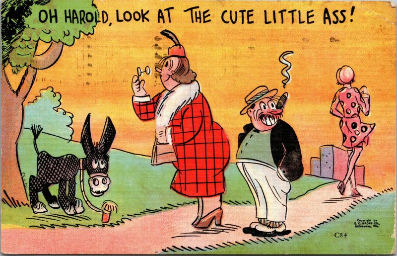 Vtg 1940s Postcard Comic Humor Look at the Cute Little Ass Donkey Husband Wife