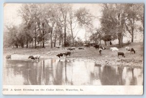 Waterloo Iowa IA  Postcard A Quiet Evening On The Cedar River Scene 1909 Antique