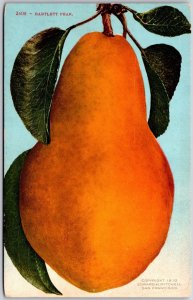 Bartlett Pear Pyrus Community Commonly Known as the European Pear Postcard