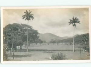 Old rppc NATURE SCENE Great Postcard AB0573