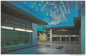 Vancouver Public Aquarium,  Stanley Park,  Vancouver,  B.C.,  Canada,  40-60s